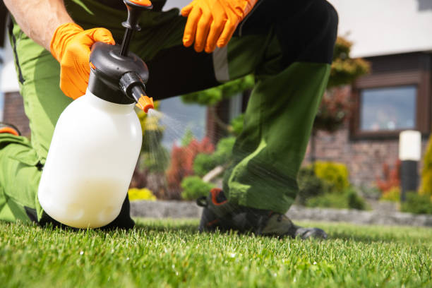 Best Best Pest Control Companies  in Maryville, MO