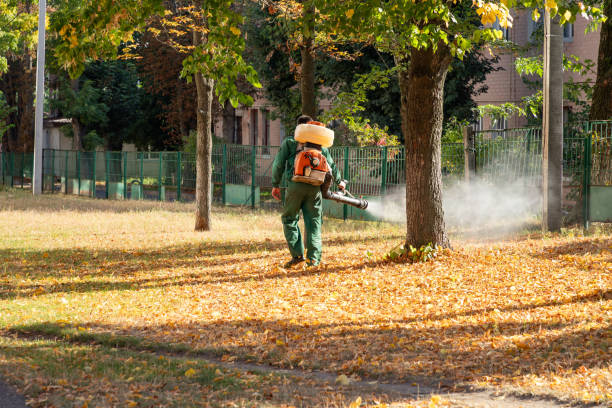 Wildlife Control Services in Maryville, MO